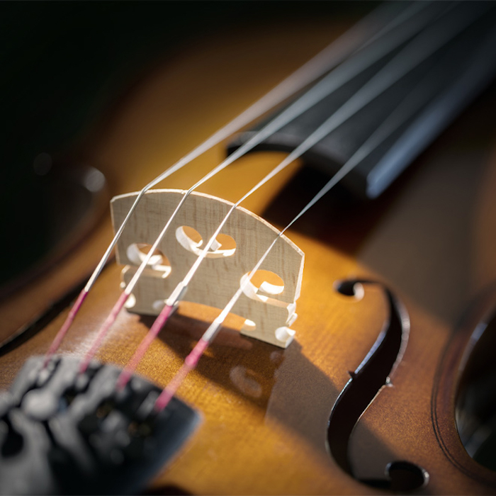 Violin close up on bridge and strings background